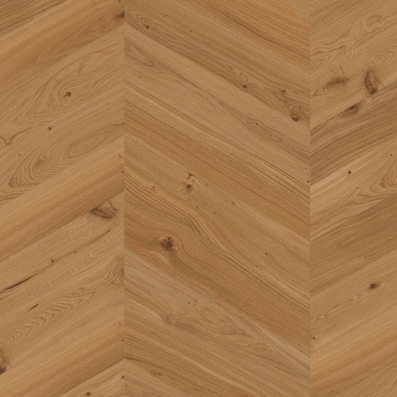 Oak Animoso Chevron