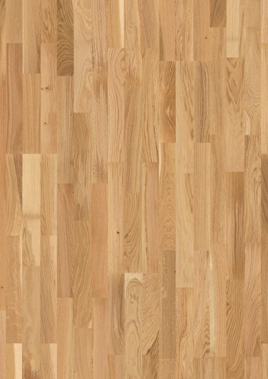 Oak Vivace 3-strip