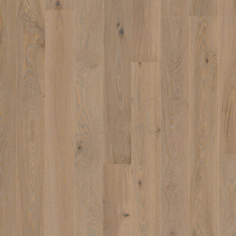 Oak Warm Grey plank