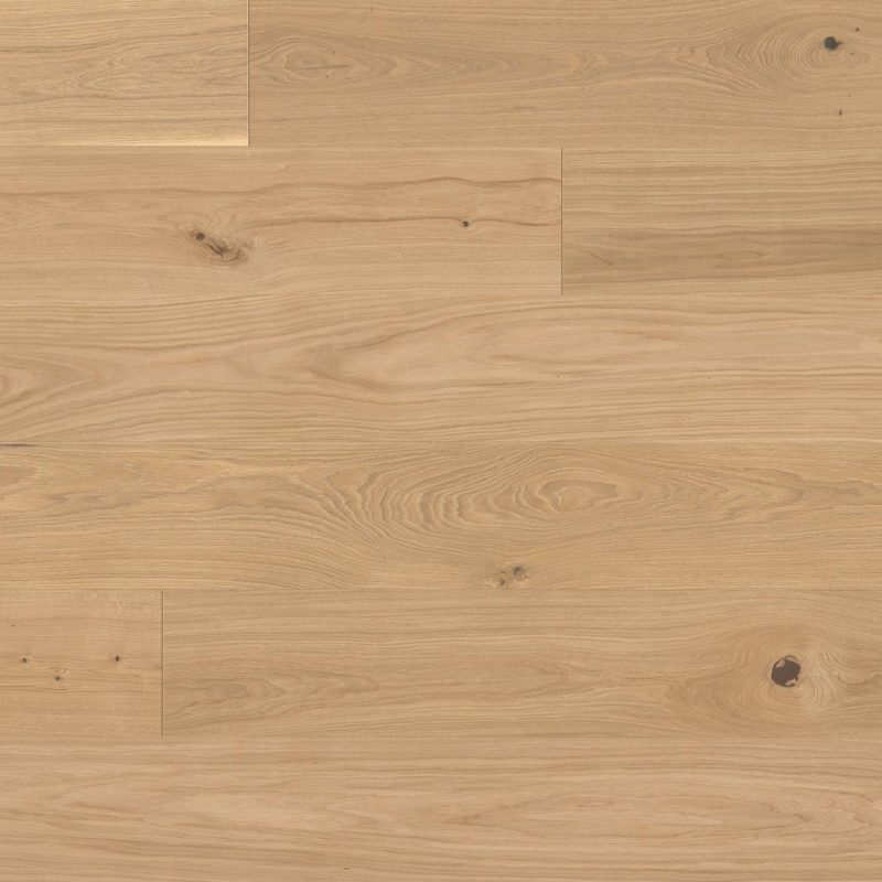 SILVERLINE EDITION OAK