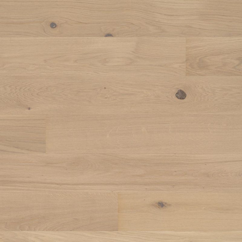 STUDIOPARK OAK