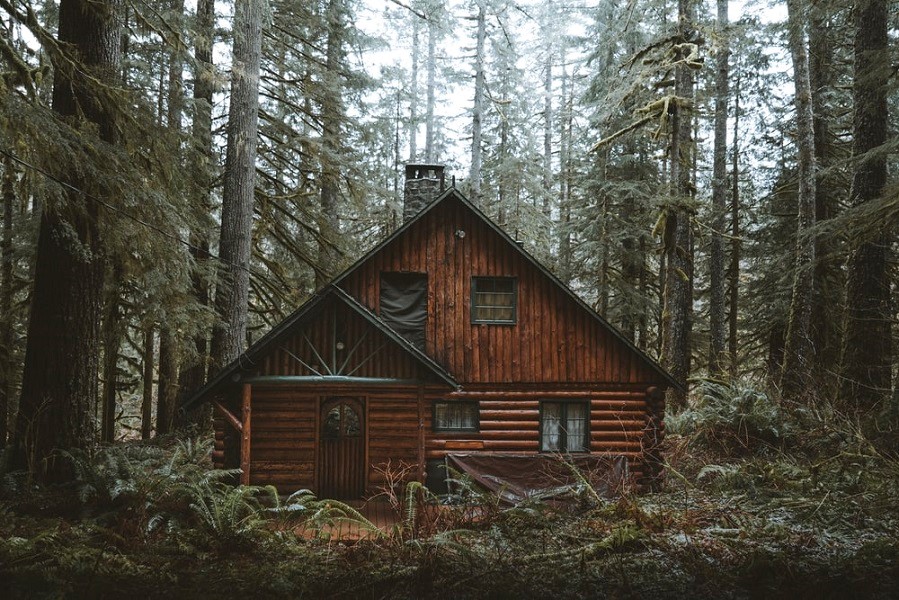 چوب در خانه های جنگلی | مواد چوبی مناسب ساخت کلبه‌های چوبی در طبیعت
